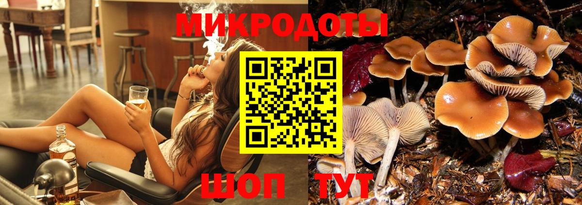 Галлюциногенные грибы Cubensis Нижний Тагил