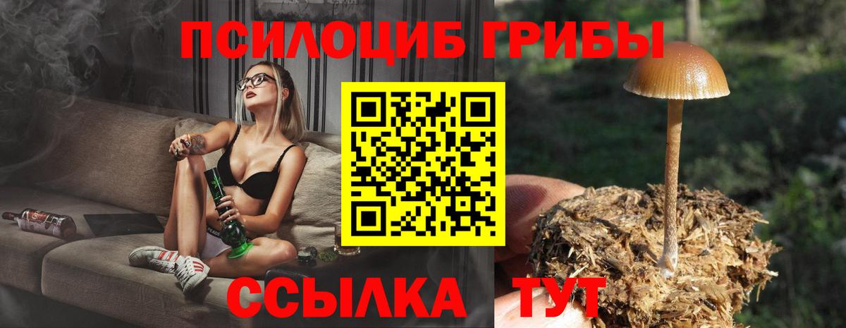 Галлюциногенные грибы мицелий  Вход с VPN  цена наркотик  Нижний Тагил  Галлюциногенные грибы MAGIC MUSHROOMS 